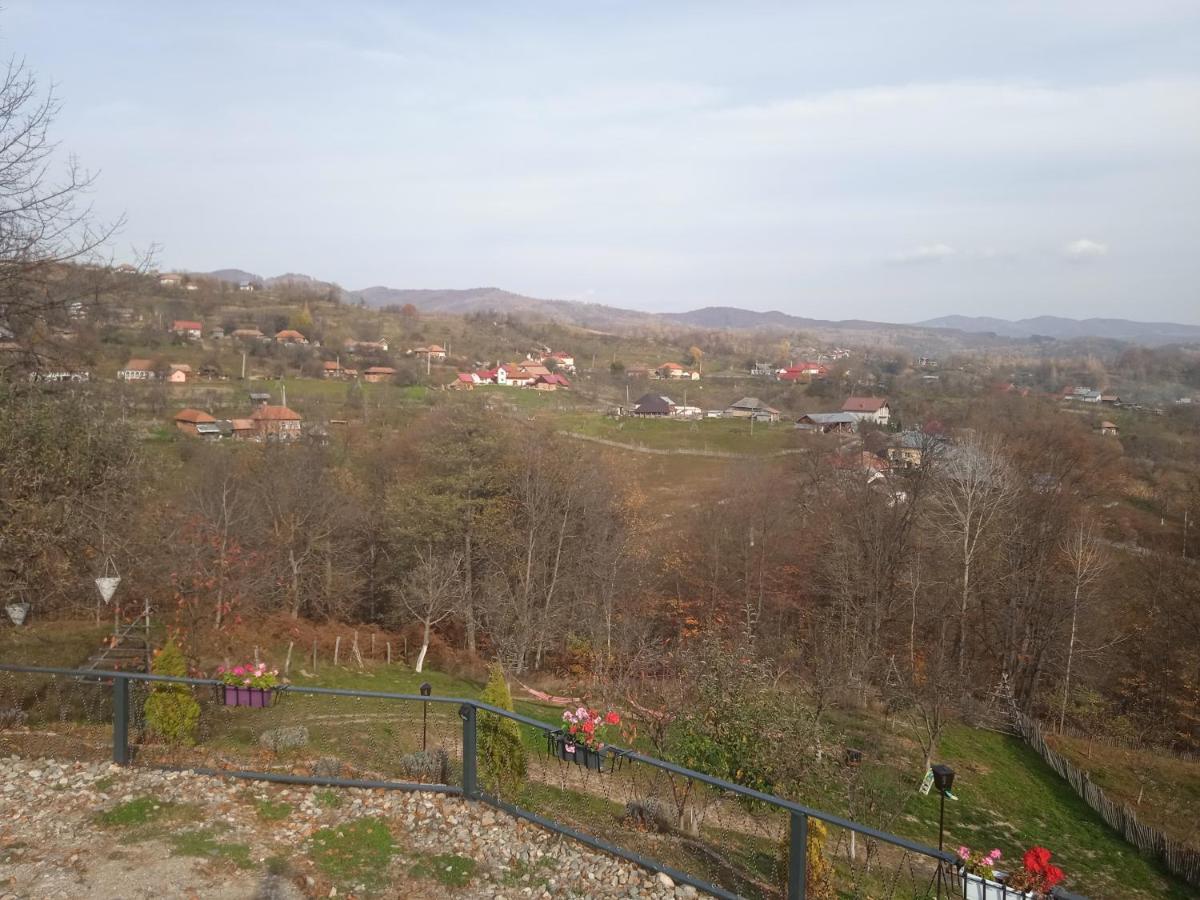 Stablo * Barasti