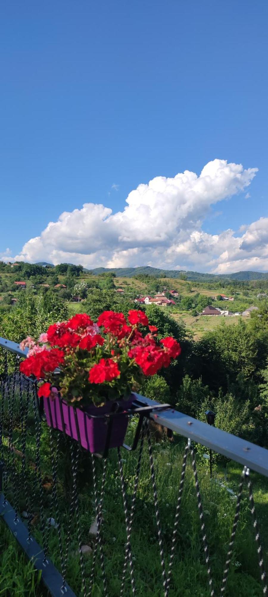 Stablo Aparthotel